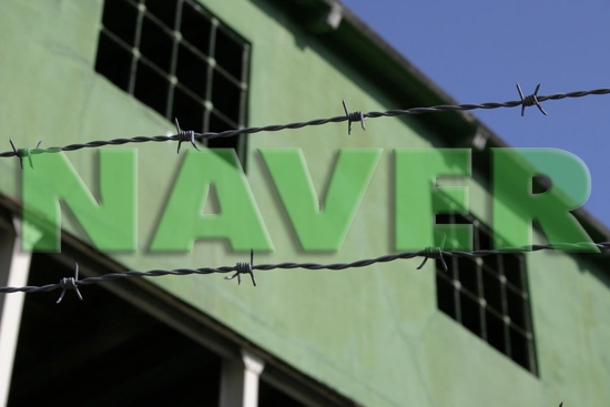 성채에 갇힌 네이버