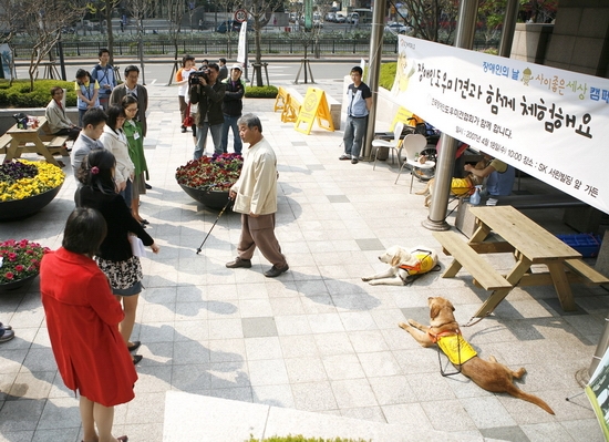 싸이월드 장애인 도우미견 행사1
