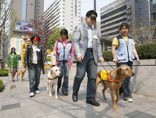 싸이월드 장애인 도우미견 행사2