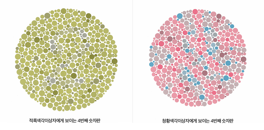 Color_Blindness_Test_Plate_10th