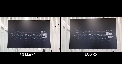 ▲  5D Mark4(사진 왼쪽)와 EOS R5(오른쪽)로 같은 사진을 찍어봤다. 8K TV와 같은 출력장비가 아니라면 현실적으로 4K급 아래 해상도와 육안으로 비교하기 어려운 게 사실이다.