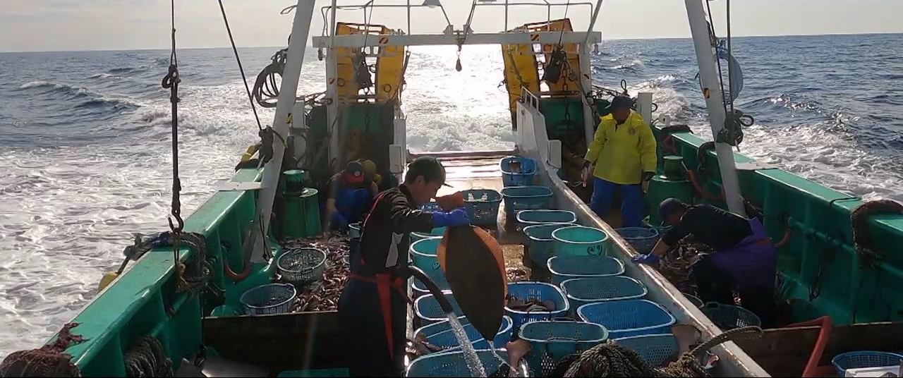 ▲  후쿠시마 어부들의 어업 장면 (일본 부흥청 유튜브 영상 갈무리)
