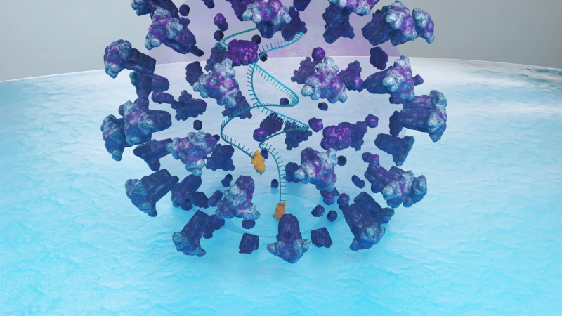 ▲ 에이즈 바이러스가 면역세포에 침투하려는 모습을 설명한 컴퓨터 그래픽.(사진=한국화학연구원)