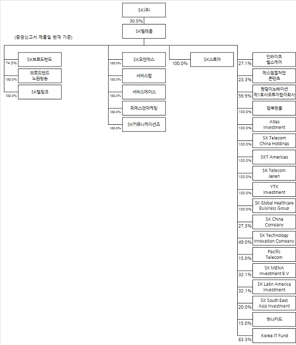 ▲ 존속법인 SKT의 지배구조.(자료=SK텔레콤 투자설명서)