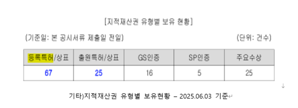 지적재산권 보유 현황/ 자료=코난테크놀로지