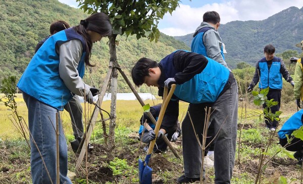 콜마비앤에이치 임직원들이 22일 서울 계룡산 국립공원일대에서 자생식물을 식재하고 있다. /사진 제공=콜마비앤에이치