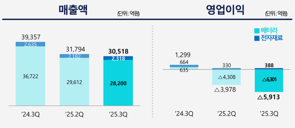 /자료=삼성SDI IR북