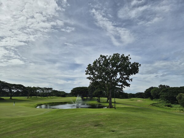 셔우드힐스CC의 대표 전경. 잭 니클라우스가 설계한 코스답게, 페어웨이 한가운데 자리한 나무와 워터해저드가 절묘한 균형을 이룬다.자연의 흐름을 그대로 살린 링크스형 리조트 코스의 특징이 잘 드러난다./사진=심현희 기자