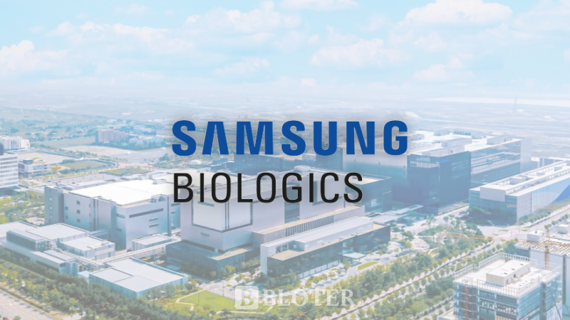 /이미지 제작 = 김나영 기자