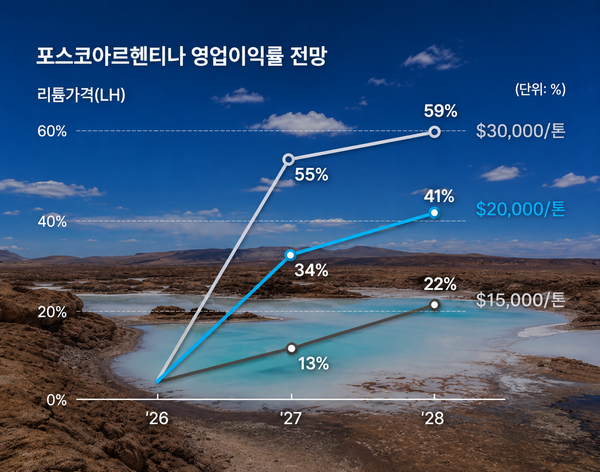 포스코홀딩스, 철강 자금으로 전략자원 투자 확대