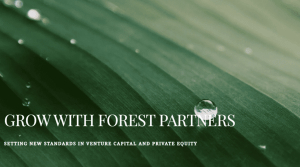 포레스트, '제2의 웨이모' 낙점...글로벌 자율주행 대어 투자 주선 [넘버... - 뉴스 썸네일 이미지