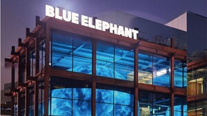 블루엘리펀트, 성장 뒤 드리운 그림자...재고 쌓이고 법적 리스크 확대 - 뉴스 썸네일 이미지