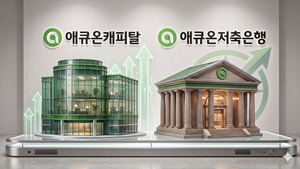 [애큐온 새판짜기]③ 잦은 매각에 피로감...지배구조 '불안정' 꼬리표는 - 뉴스 썸네일 이미지