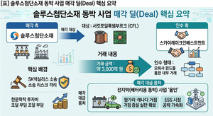 [딜 인사이드] 솔루스첨단소재, 동박과 '헤어질 결심'...선택과 집중 - 뉴스 썸네일 이미지