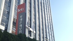 롯데손보 '워치리스트 해제'...조건부 승인에 한숨 돌렸다 - 뉴스 썸네일 이미지