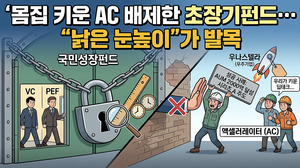 몸집 키운 AC 배제한 초장기펀드...'낡은 눈높이'가 발목 - 뉴스 썸네일 이미지