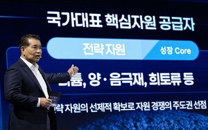포스코홀딩스